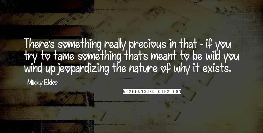 Mikky Ekko Quotes: There's something really precious in that - if you try to tame something that's meant to be wild you wind up jeopardizing the nature of why it exists.