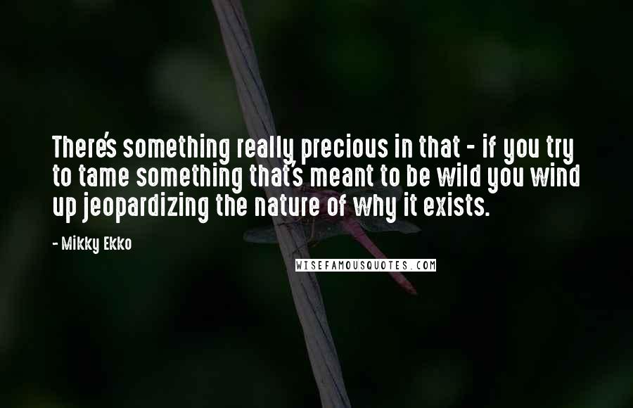 Mikky Ekko Quotes: There's something really precious in that - if you try to tame something that's meant to be wild you wind up jeopardizing the nature of why it exists.