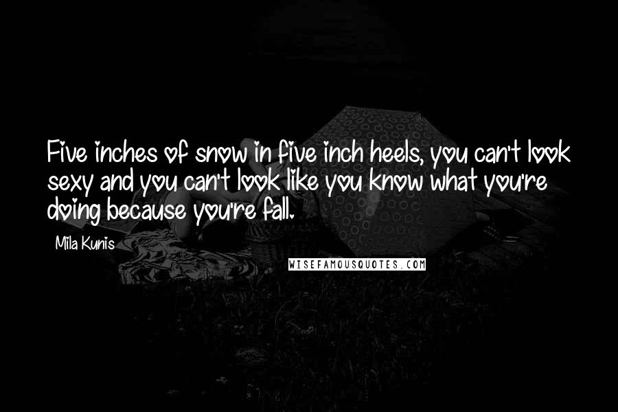 Mila Kunis Quotes: Five inches of snow in five inch heels, you can't look sexy and you can't look like you know what you're doing because you're fall.