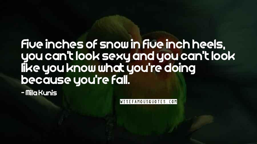 Mila Kunis Quotes: Five inches of snow in five inch heels, you can't look sexy and you can't look like you know what you're doing because you're fall.