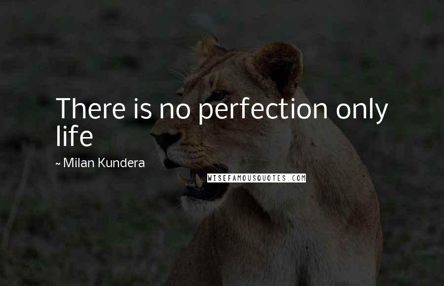 Milan Kundera Quotes: There is no perfection only life