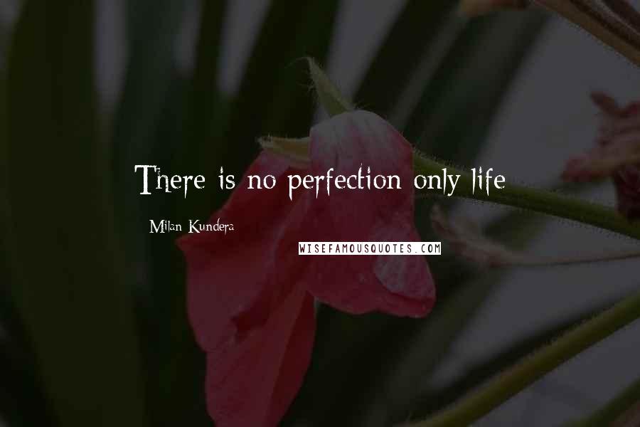 Milan Kundera Quotes: There is no perfection only life