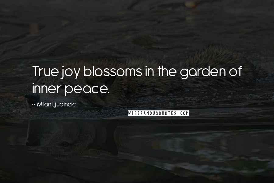 Milan Ljubincic Quotes: True joy blossoms in the garden of inner peace.