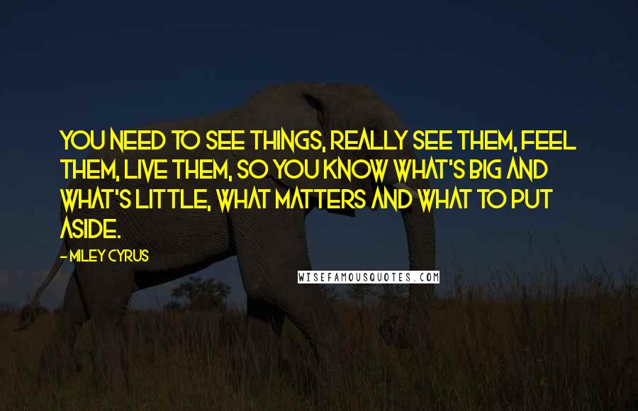 Miley Cyrus Quotes: You need to see things, REALLY see them, feel them, live them, so you know what's big and what's little, what matters and what to put aside.