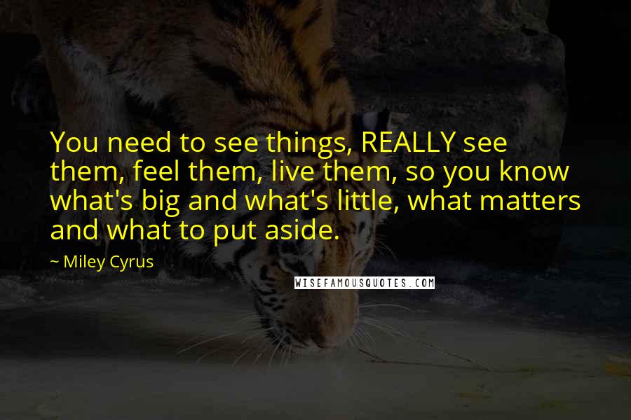 Miley Cyrus Quotes: You need to see things, REALLY see them, feel them, live them, so you know what's big and what's little, what matters and what to put aside.