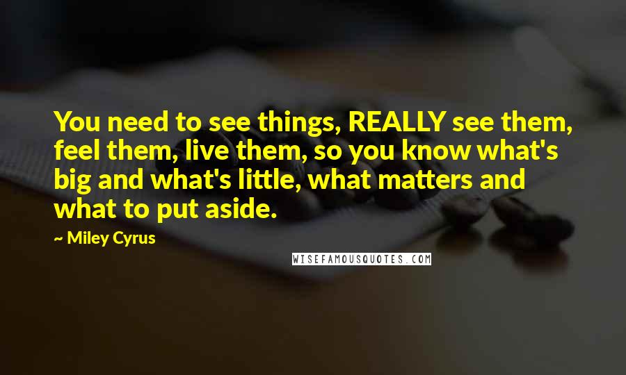 Miley Cyrus Quotes: You need to see things, REALLY see them, feel them, live them, so you know what's big and what's little, what matters and what to put aside.