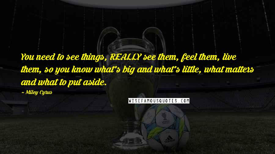 Miley Cyrus Quotes: You need to see things, REALLY see them, feel them, live them, so you know what's big and what's little, what matters and what to put aside.