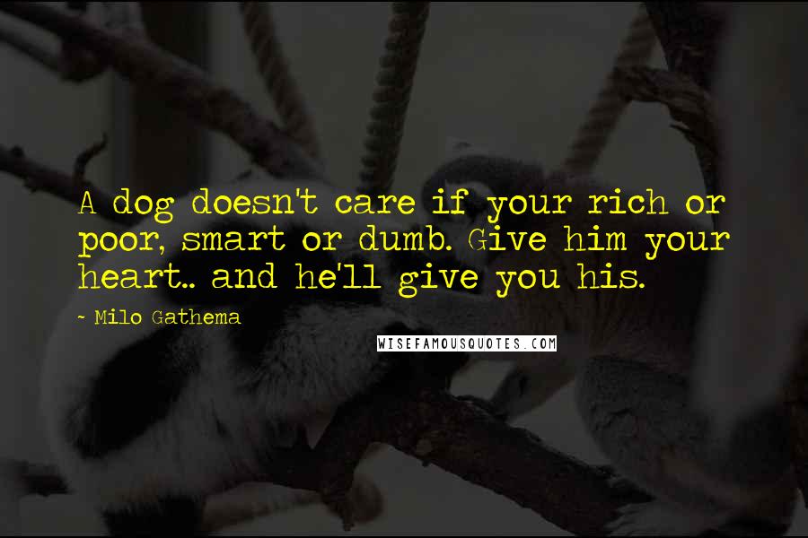 Milo Gathema Quotes: A dog doesn't care if your rich or poor, smart or dumb. Give him your heart.. and he'll give you his.