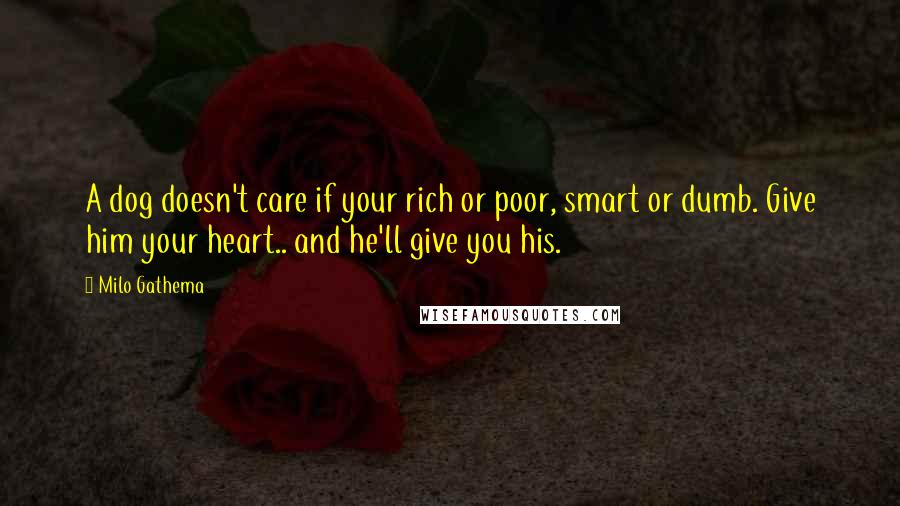 Milo Gathema Quotes: A dog doesn't care if your rich or poor, smart or dumb. Give him your heart.. and he'll give you his.