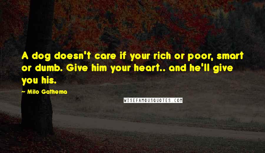 Milo Gathema Quotes: A dog doesn't care if your rich or poor, smart or dumb. Give him your heart.. and he'll give you his.