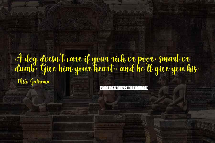 Milo Gathema Quotes: A dog doesn't care if your rich or poor, smart or dumb. Give him your heart.. and he'll give you his.