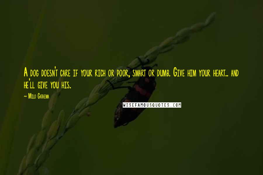 Milo Gathema Quotes: A dog doesn't care if your rich or poor, smart or dumb. Give him your heart.. and he'll give you his.