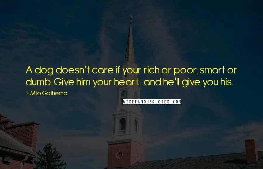 Milo Gathema Quotes: A dog doesn't care if your rich or poor, smart or dumb. Give him your heart.. and he'll give you his.