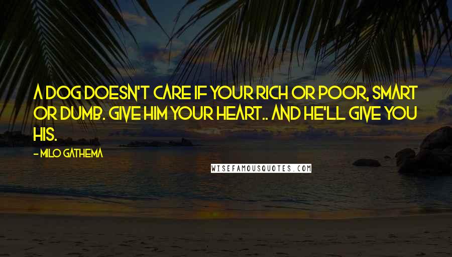 Milo Gathema Quotes: A dog doesn't care if your rich or poor, smart or dumb. Give him your heart.. and he'll give you his.