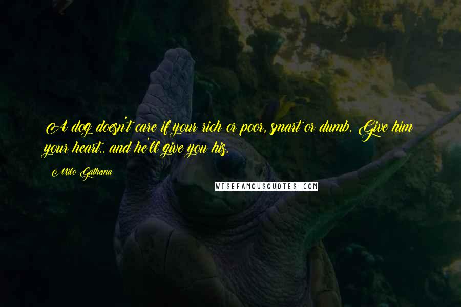 Milo Gathema Quotes: A dog doesn't care if your rich or poor, smart or dumb. Give him your heart.. and he'll give you his.