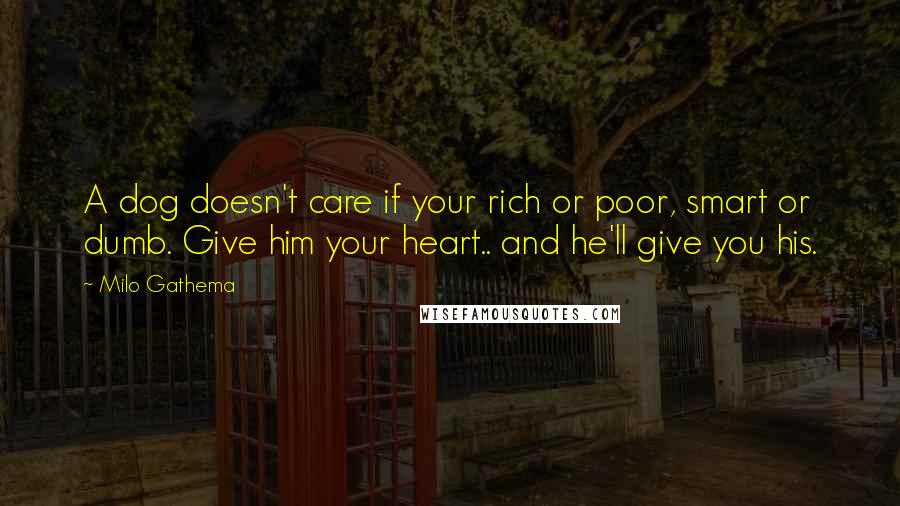 Milo Gathema Quotes: A dog doesn't care if your rich or poor, smart or dumb. Give him your heart.. and he'll give you his.