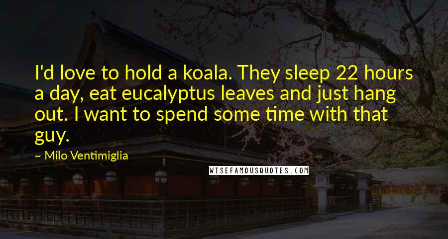 Milo Ventimiglia Quotes: I'd love to hold a koala. They sleep 22 hours a day, eat eucalyptus leaves and just hang out. I want to spend some time with that guy.