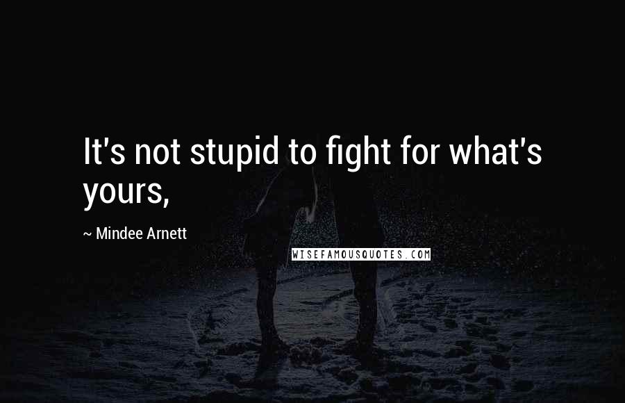 Mindee Arnett Quotes: It's not stupid to fight for what's yours,