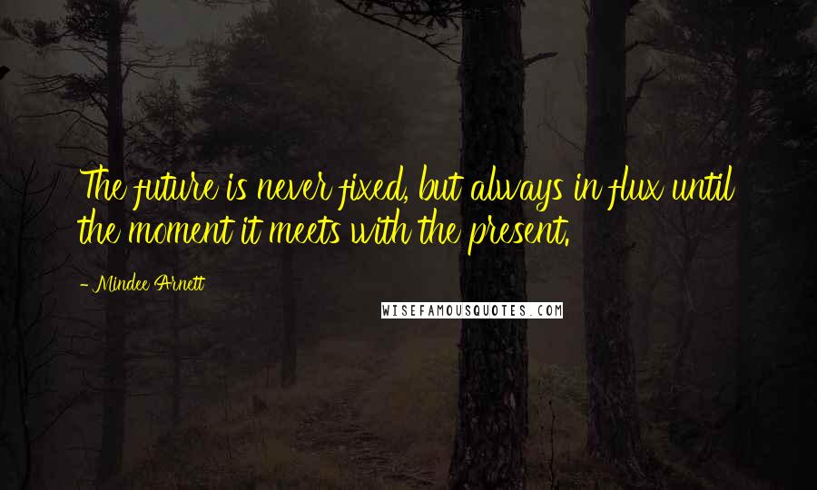 Mindee Arnett Quotes: The future is never fixed, but always in flux until the moment it meets with the present.