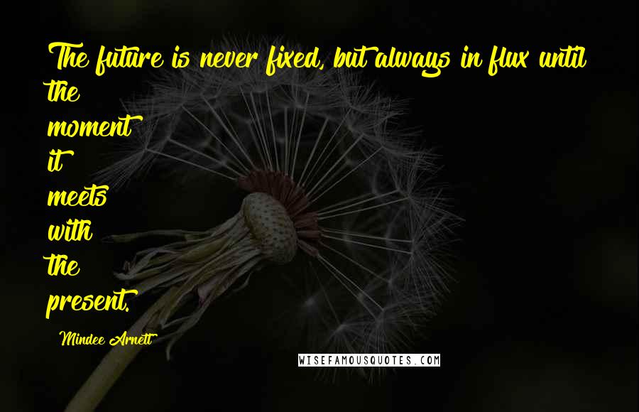 Mindee Arnett Quotes: The future is never fixed, but always in flux until the moment it meets with the present.