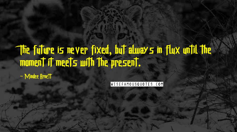 Mindee Arnett Quotes: The future is never fixed, but always in flux until the moment it meets with the present.