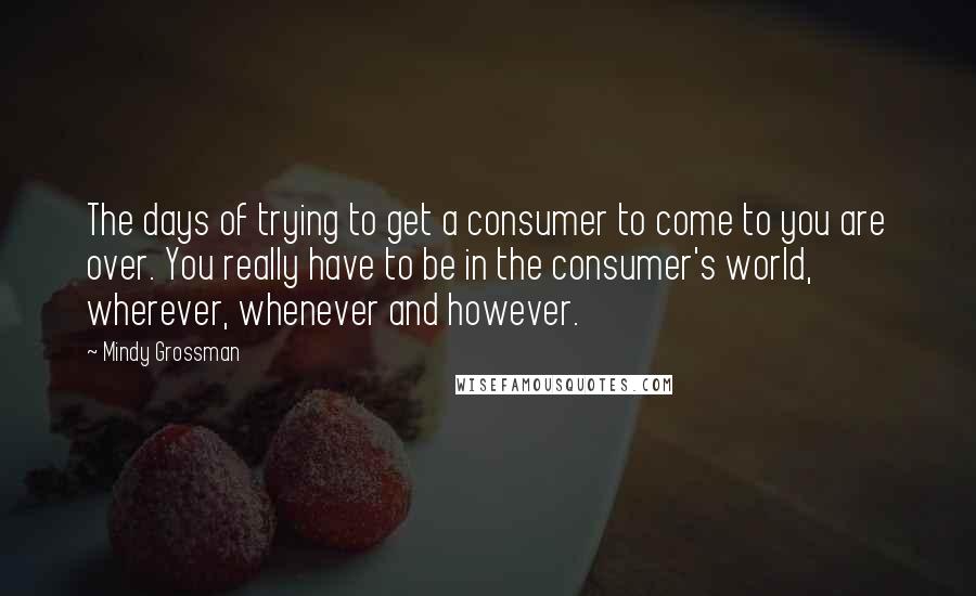 Mindy Grossman Quotes: The days of trying to get a consumer to come to you are over. You really have to be in the consumer's world, wherever, whenever and however.