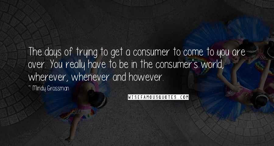 Mindy Grossman Quotes: The days of trying to get a consumer to come to you are over. You really have to be in the consumer's world, wherever, whenever and however.