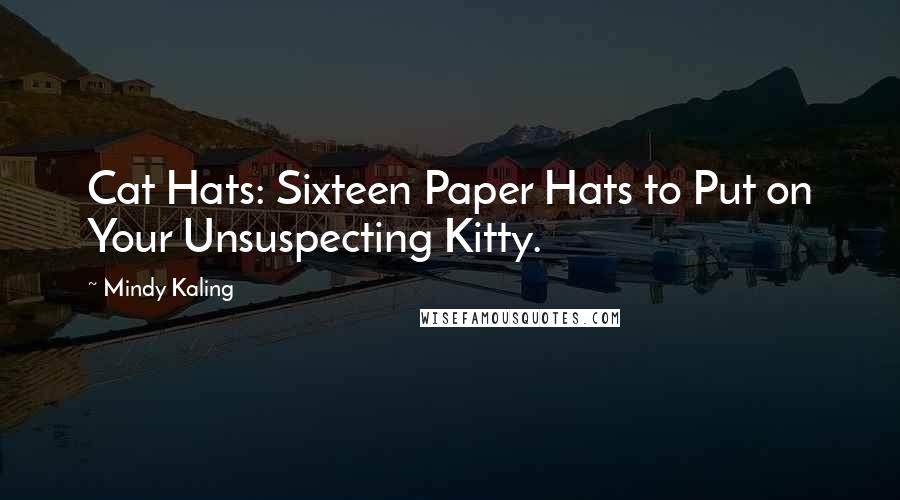 Mindy Kaling Quotes: Cat Hats: Sixteen Paper Hats to Put on Your Unsuspecting Kitty.