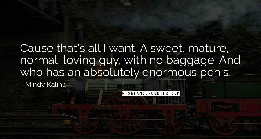 Mindy Kaling Quotes: Cause that's all I want. A sweet, mature, normal, loving guy, with no baggage. And who has an absolutely enormous penis.