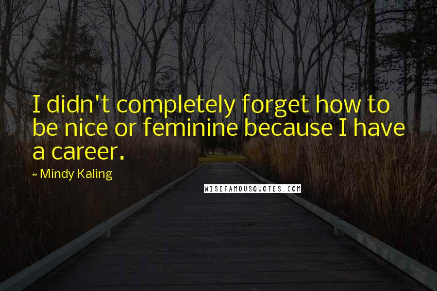 Mindy Kaling Quotes: I didn't completely forget how to be nice or feminine because I have a career.