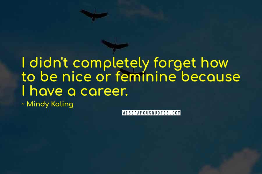 Mindy Kaling Quotes: I didn't completely forget how to be nice or feminine because I have a career.
