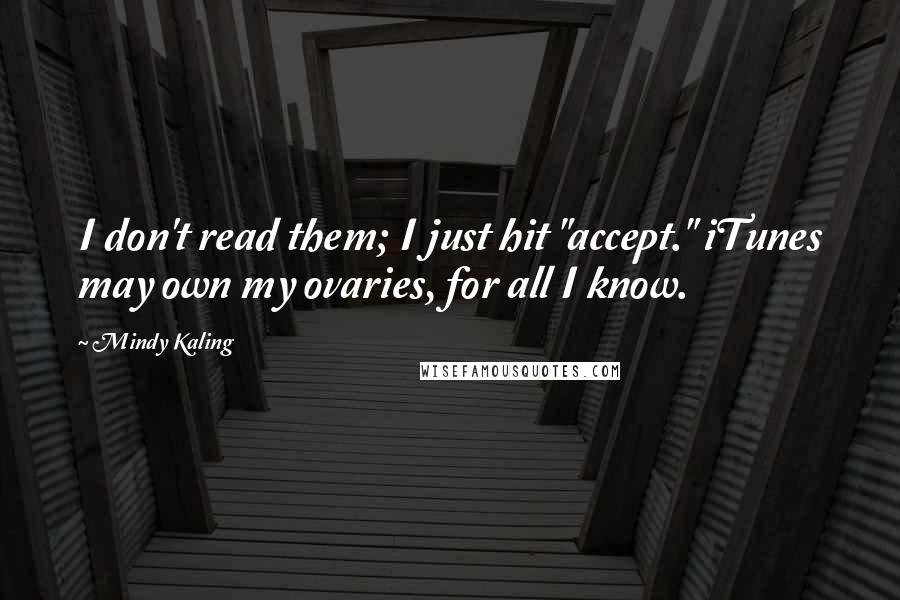 Mindy Kaling Quotes: I don't read them; I just hit "accept." iTunes may own my ovaries, for all I know.