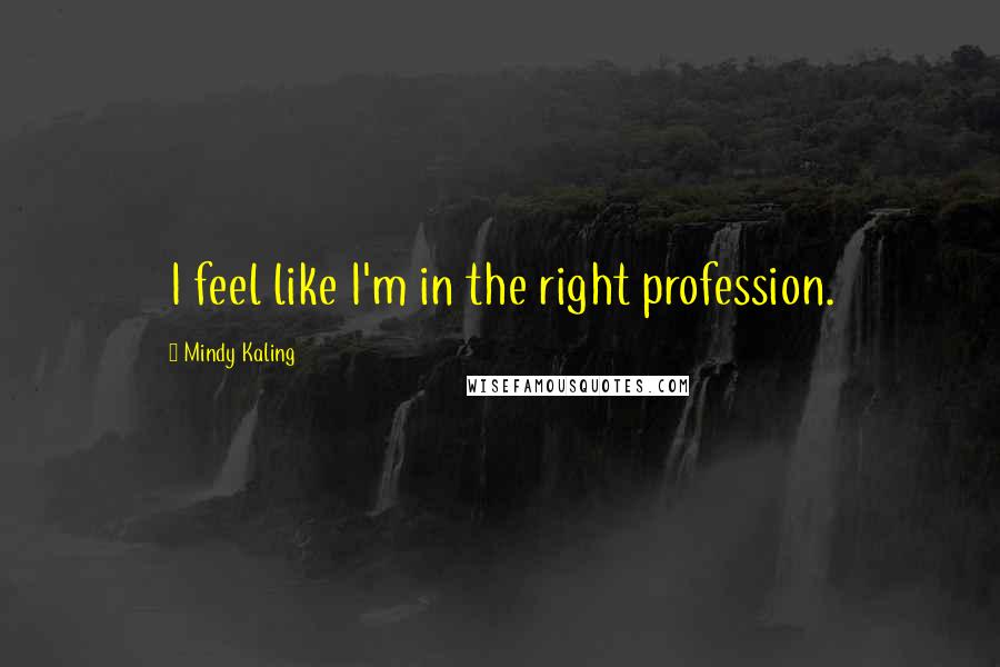 Mindy Kaling Quotes: I feel like I'm in the right profession.