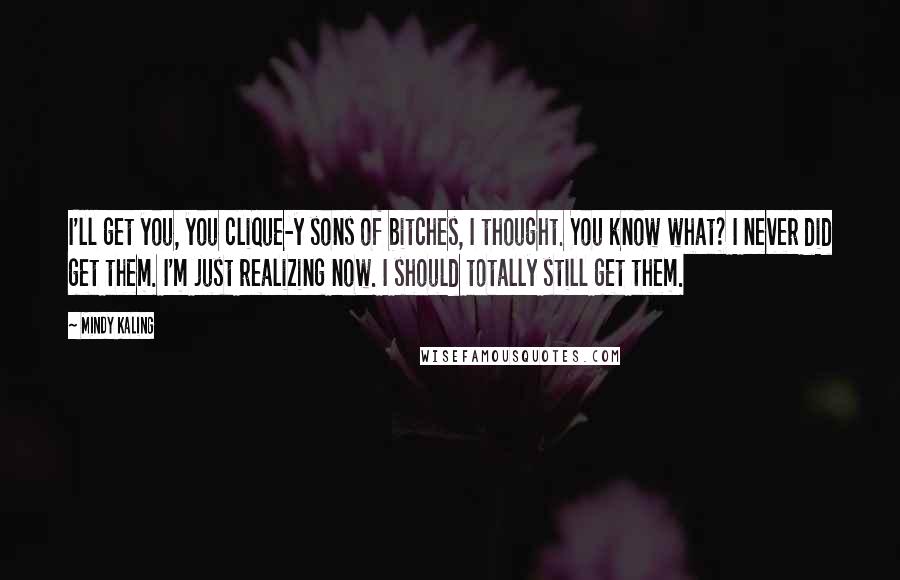 Mindy Kaling Quotes: I'll get you, you clique-y sons of bitches, I thought. You know what? I never did get them. I'm just realizing now. I should totally still get them.