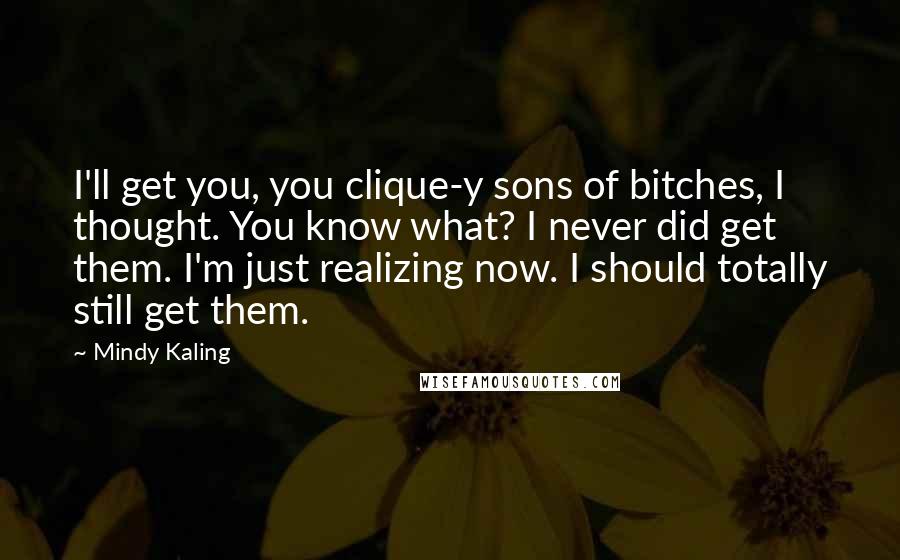 Mindy Kaling Quotes: I'll get you, you clique-y sons of bitches, I thought. You know what? I never did get them. I'm just realizing now. I should totally still get them.