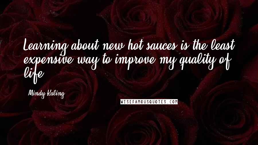 Mindy Kaling Quotes: Learning about new hot sauces is the least expensive way to improve my quality of life.