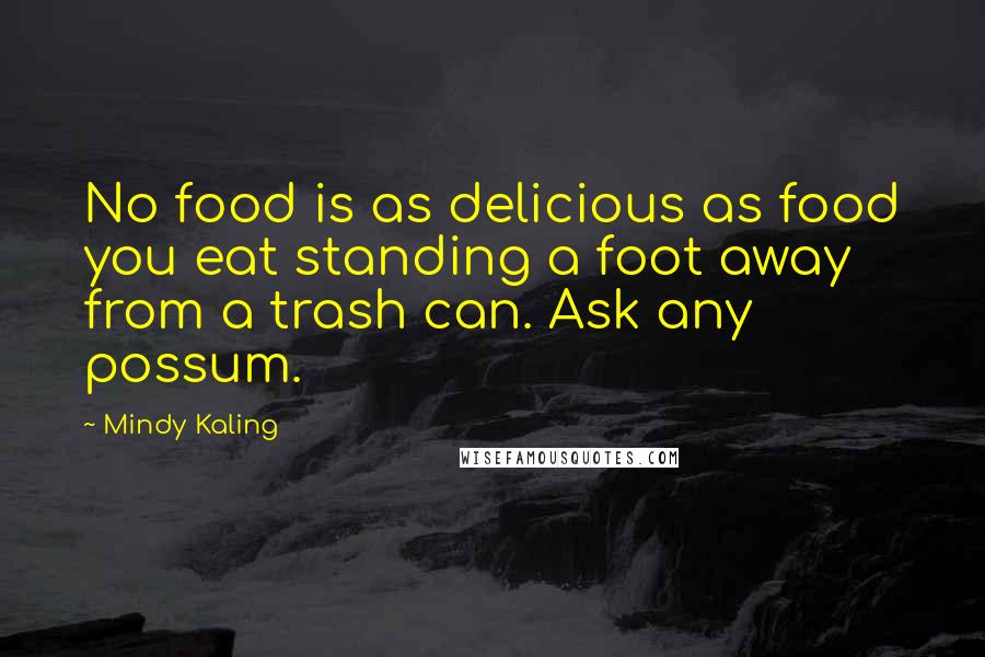 Mindy Kaling Quotes: No food is as delicious as food you eat standing a foot away from a trash can. Ask any possum.