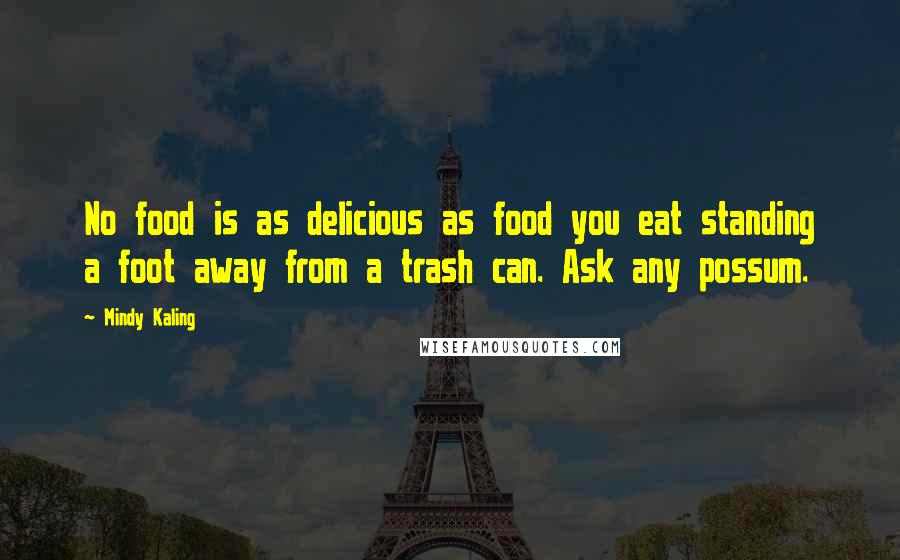 Mindy Kaling Quotes: No food is as delicious as food you eat standing a foot away from a trash can. Ask any possum.