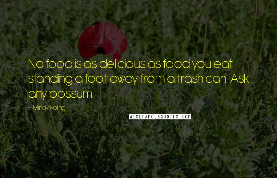 Mindy Kaling Quotes: No food is as delicious as food you eat standing a foot away from a trash can. Ask any possum.