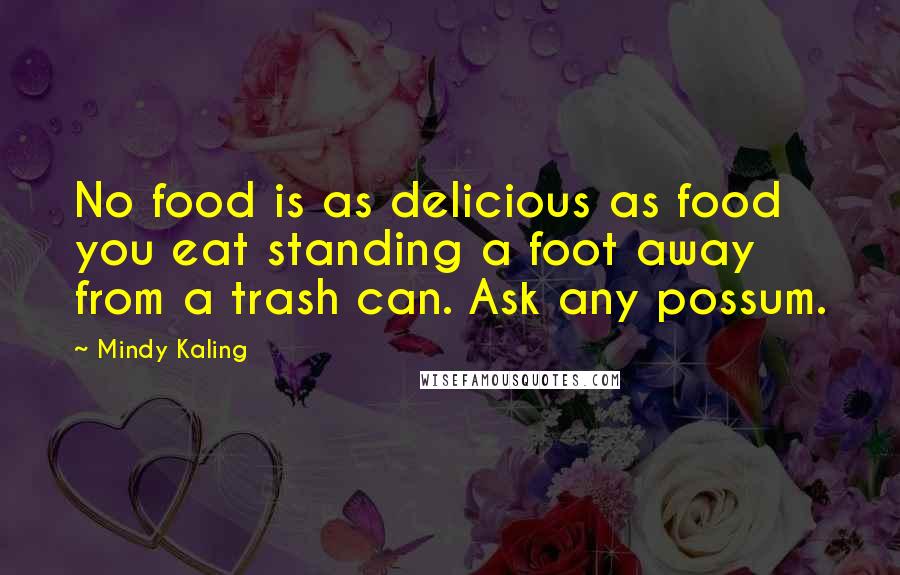 Mindy Kaling Quotes: No food is as delicious as food you eat standing a foot away from a trash can. Ask any possum.