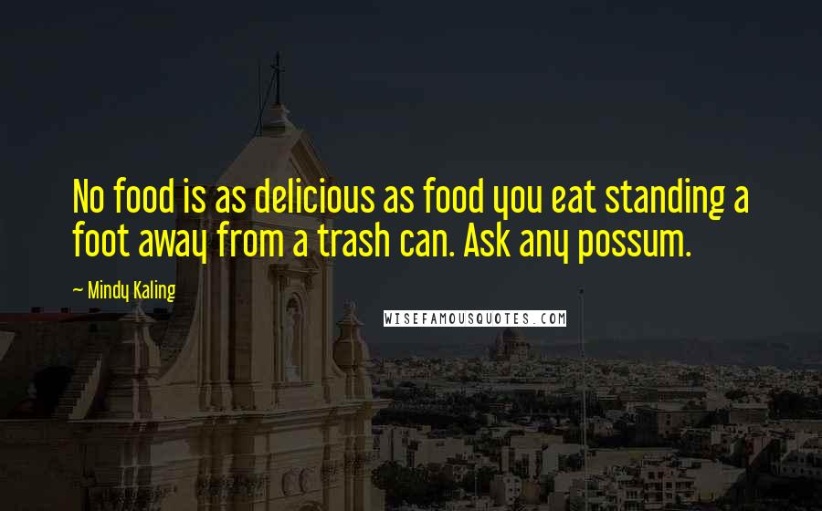 Mindy Kaling Quotes: No food is as delicious as food you eat standing a foot away from a trash can. Ask any possum.
