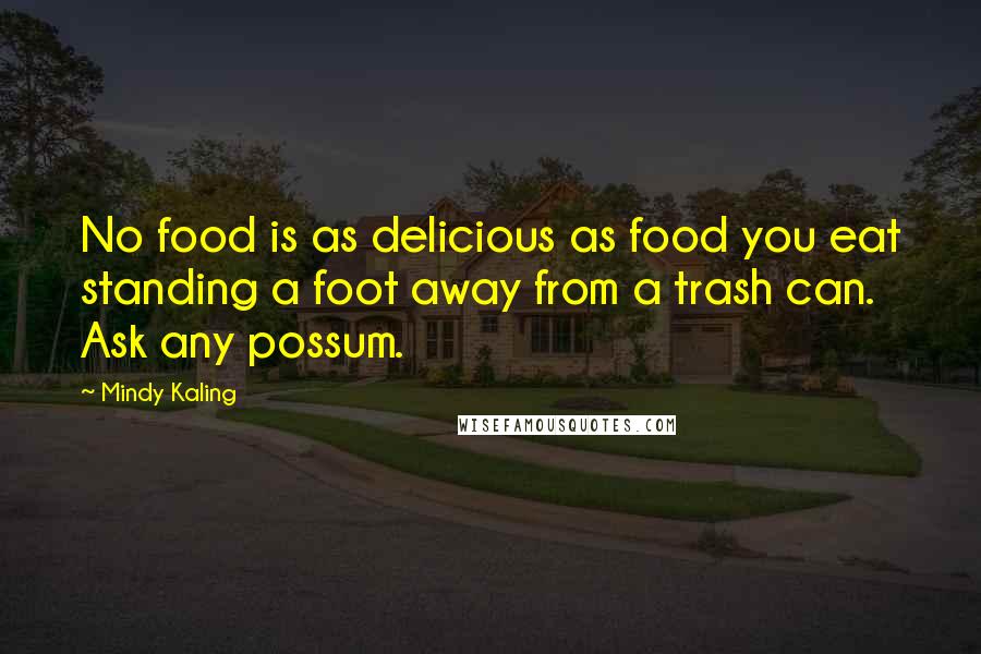 Mindy Kaling Quotes: No food is as delicious as food you eat standing a foot away from a trash can. Ask any possum.