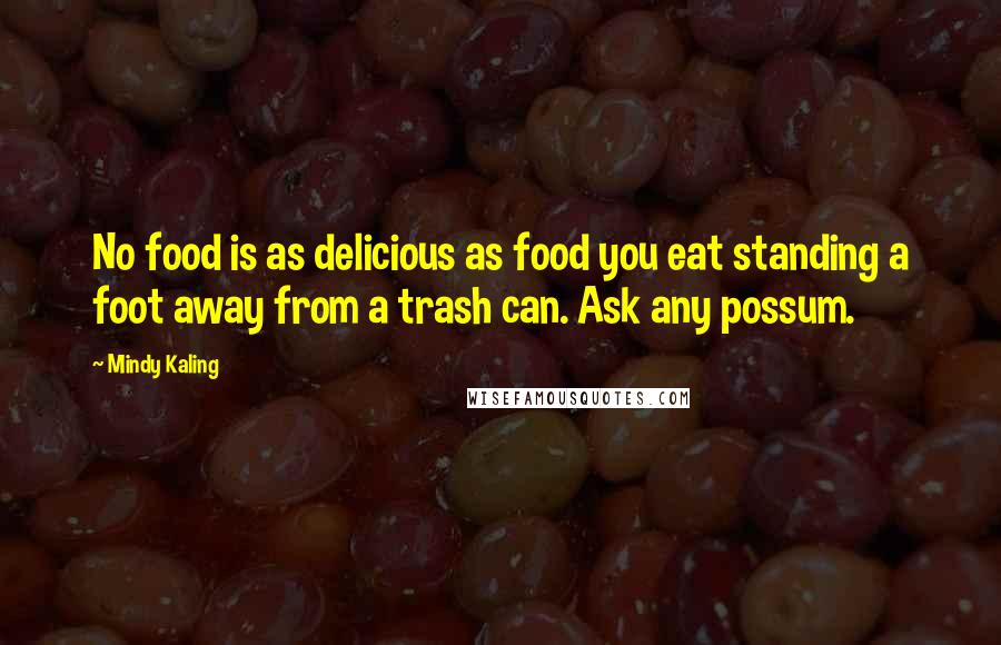 Mindy Kaling Quotes: No food is as delicious as food you eat standing a foot away from a trash can. Ask any possum.