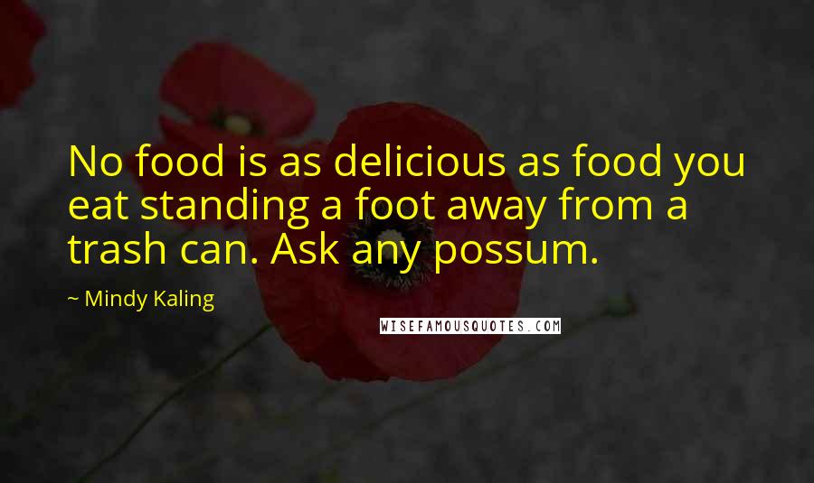 Mindy Kaling Quotes: No food is as delicious as food you eat standing a foot away from a trash can. Ask any possum.