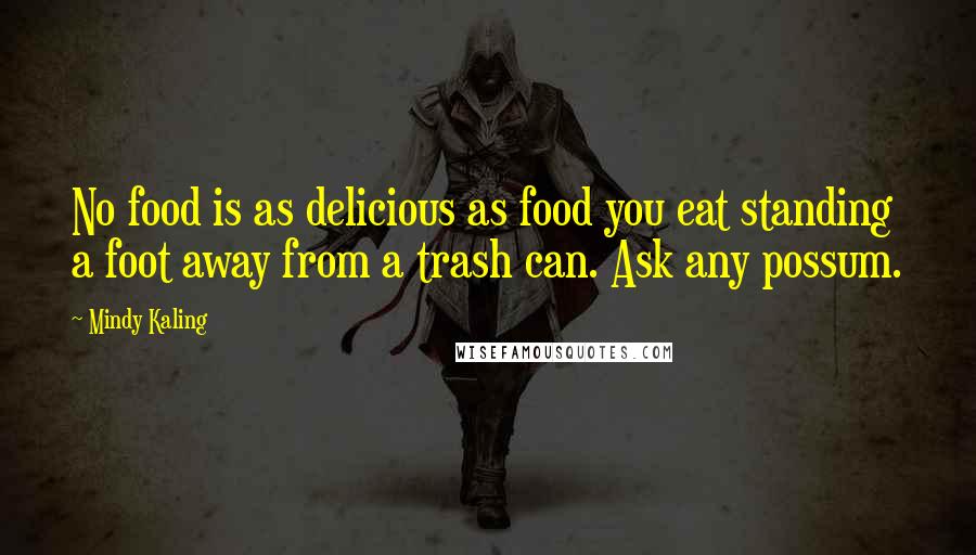 Mindy Kaling Quotes: No food is as delicious as food you eat standing a foot away from a trash can. Ask any possum.