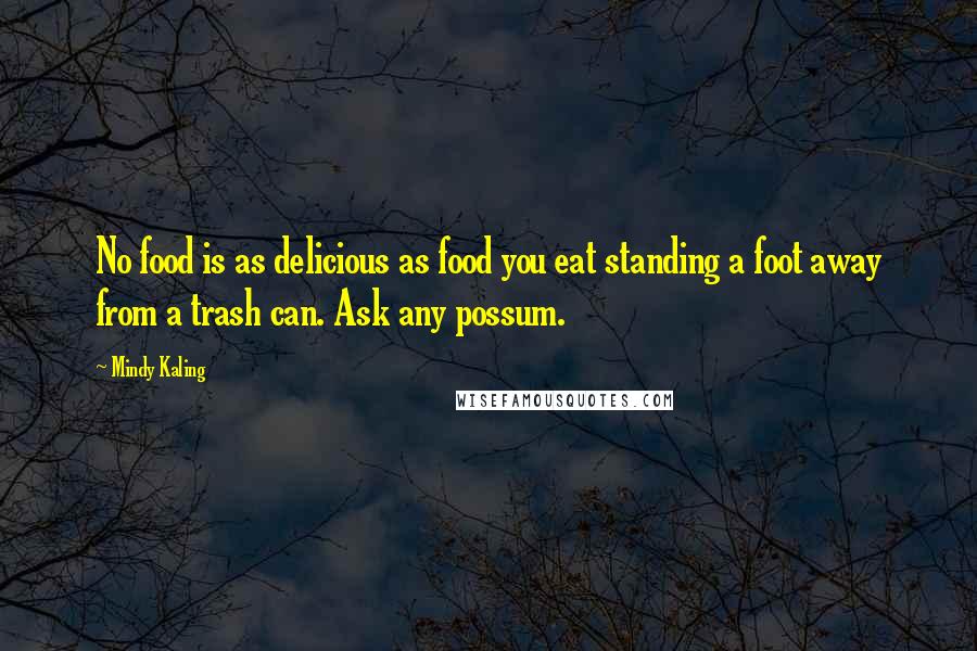 Mindy Kaling Quotes: No food is as delicious as food you eat standing a foot away from a trash can. Ask any possum.