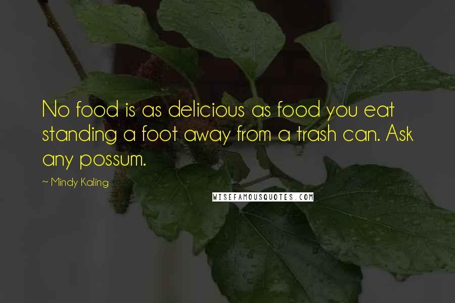 Mindy Kaling Quotes: No food is as delicious as food you eat standing a foot away from a trash can. Ask any possum.