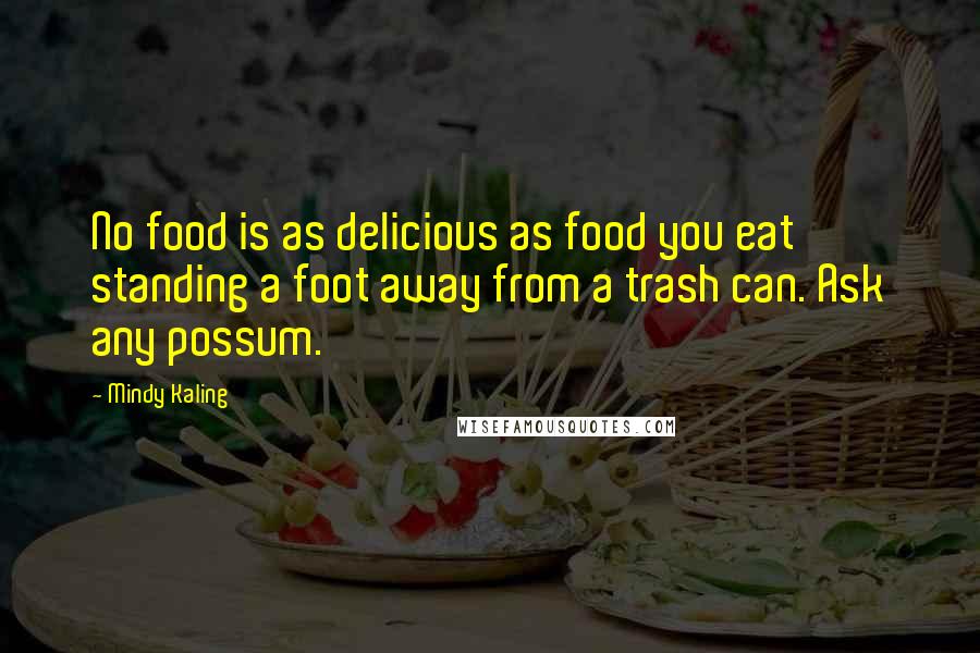 Mindy Kaling Quotes: No food is as delicious as food you eat standing a foot away from a trash can. Ask any possum.