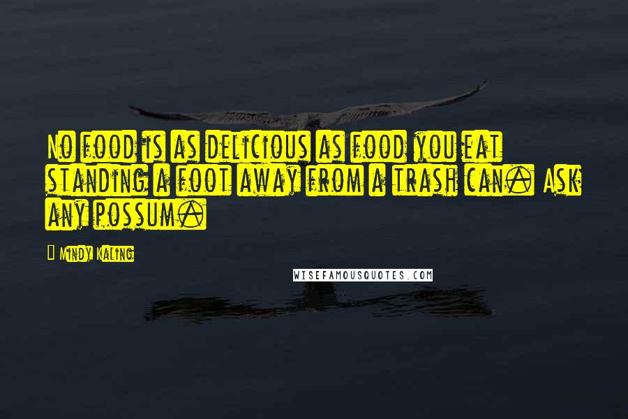 Mindy Kaling Quotes: No food is as delicious as food you eat standing a foot away from a trash can. Ask any possum.