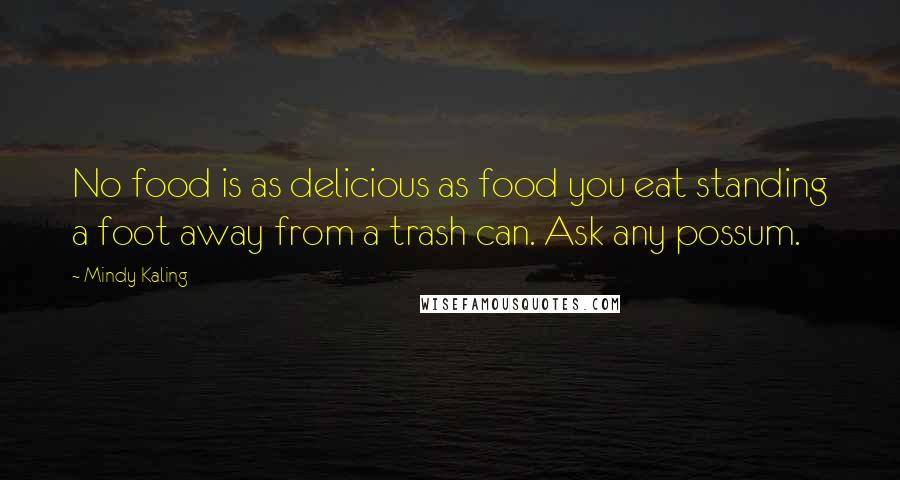 Mindy Kaling Quotes: No food is as delicious as food you eat standing a foot away from a trash can. Ask any possum.